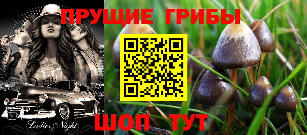 Псилоцибиновые грибы мухоморы  Вход с VPN  Гусь-Хрустальный 